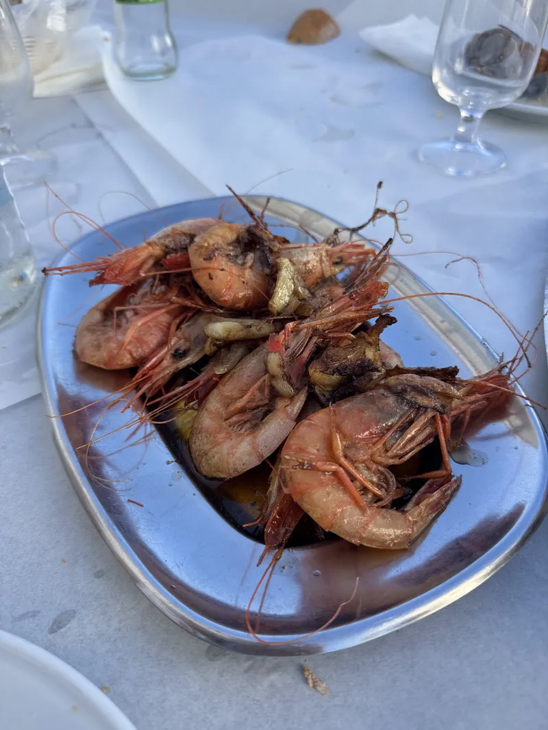 Azeitonas