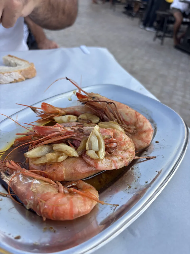 Queijo de cabra